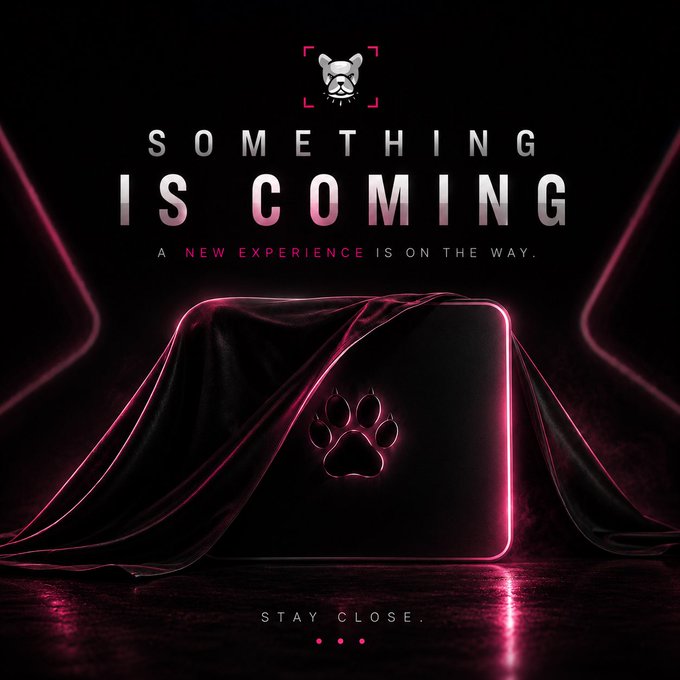A dark, dramatic teaser image reveals a cloth-covered object illuminated by pink neon lighting, featuring a glowing paw print emblem. Bold text reads "SOMETHING IS COMING" and "A NEW EXPERIENCE IS ON THE WAY," with "STAY CLOSE." at the bottom, promoting the upcoming $PIT reveal.