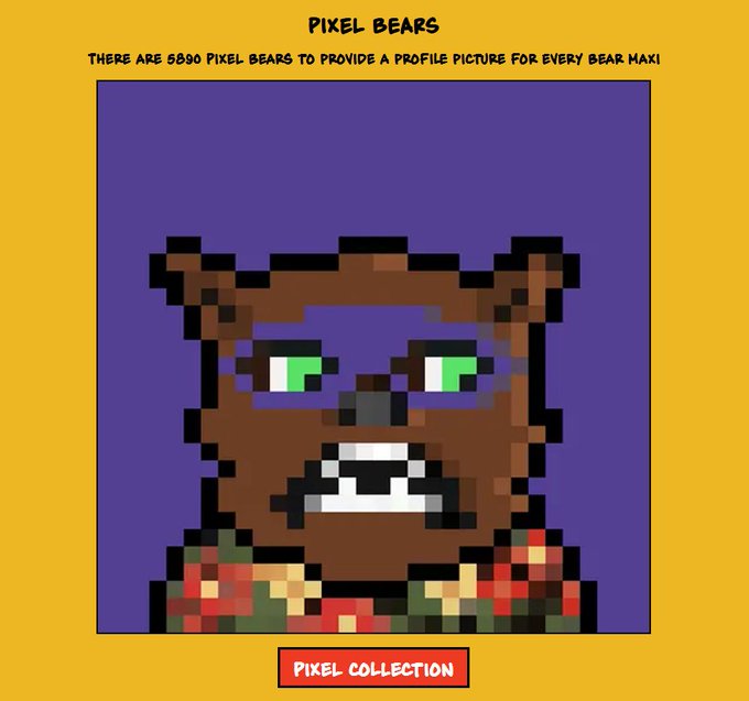 A pixel art brown bear with green eyes on a purple background, titled 'PIXEL BEARS' with text noting there are 5890 pixel bears available, featuring a 'PIXEL COLLECTION' button.