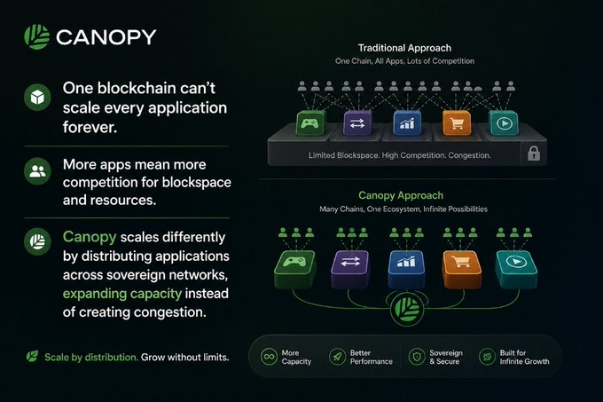 An infographic for 'Canopy' explaining that it scales blockchain applications by distributing them across sovereign networks, contrasting the traditional single-chain approach with its multi-chain ecosystem.