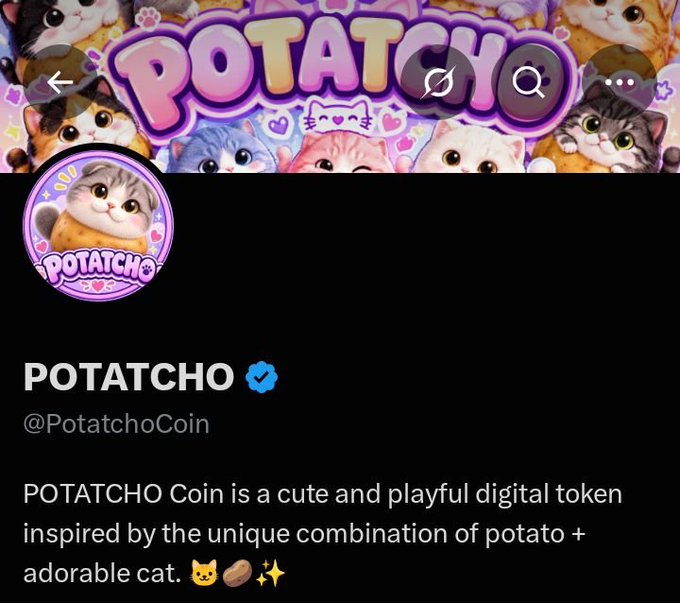 The image shows the Twitter/X profile of **POTATCHO (@PotatchoCoin)**, a digital token combining potato and cat themes, featuring cute cat illustrations and a verified blue checkmark next to the name. The accompanying post about updating from a blue to a gold badge relates to this image, as the profile currently displays the blue verification badge that the account is announcing will be upgraded to gold.