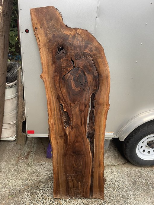 A large live-edge wood slab with rich brown grain and natural knots/voids leaning against a white trailer outdoors on a concrete surface.
