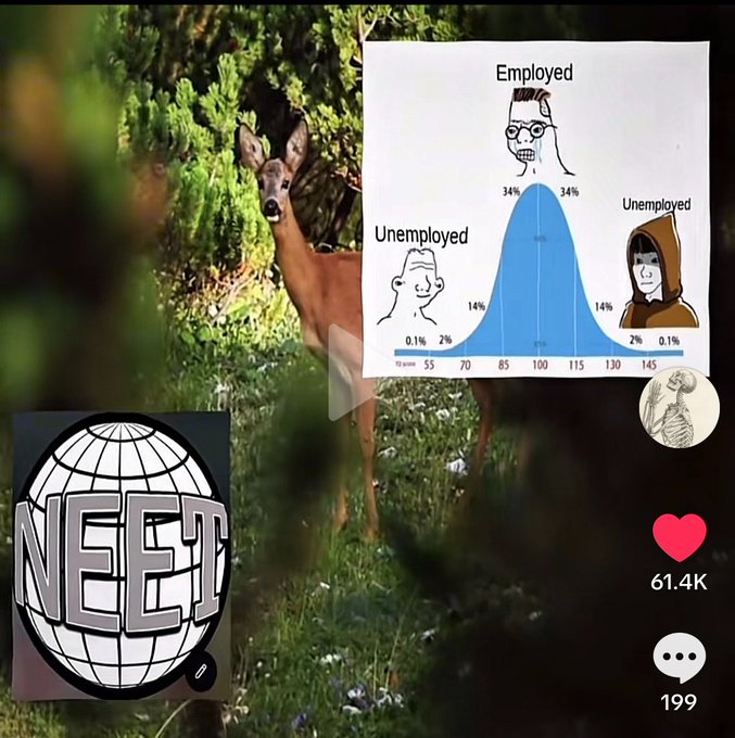 A TikTok screenshot from user @neet features a deer in a wooded area overlaid with an IQ distribution bell curve meme showing the "Employed" (Nerd) and "Unemployed" (Wojak) meme characters at high IQ levels (130-145), relating to the post's discussion of NEETdom going viral on TikTok, with the post receiving 61.4K likes and 199 comments.
