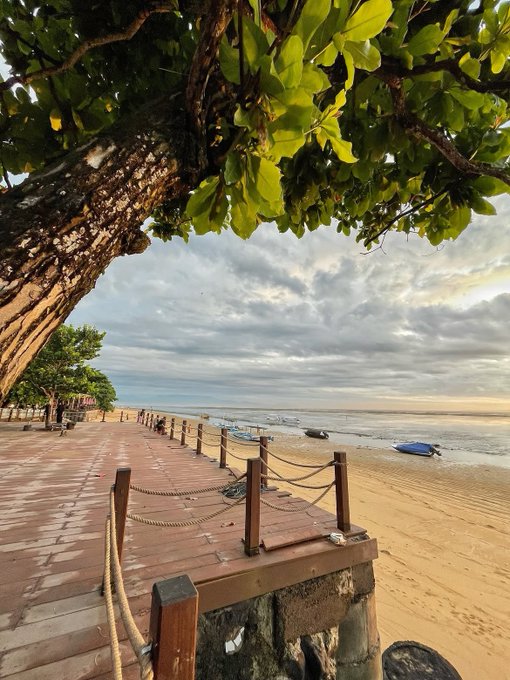 A scenic beach view framed by a large tree with green foliage, looking down a wooden boardwalk with rope railings toward sandy shore, calm ocean water, and a cloudy sky.