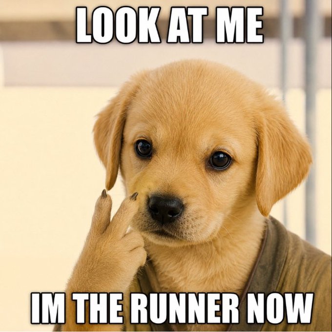 A meme featuring a golden retriever puppy making a gesture near its face, with bold text reading 'LOOK AT ME' at the top and 'IM THE RUNNER NOW' at the bottom.