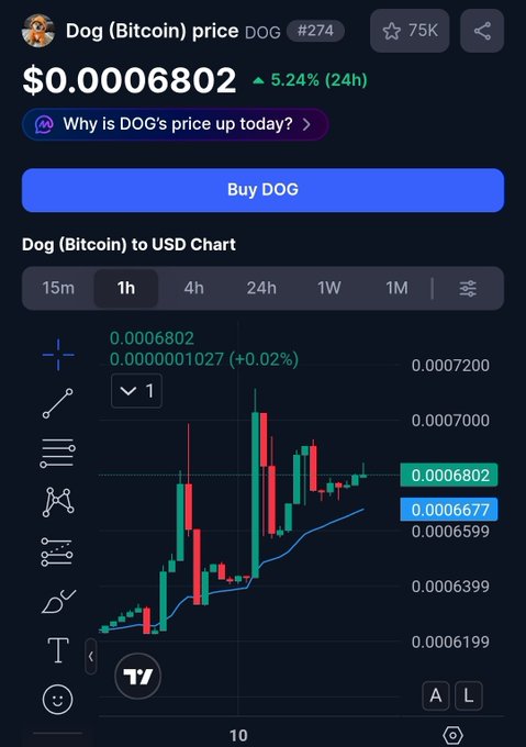 Cryptocurrency price chart for Dog (Bitcoin) showing a current price of $0.00006802 with a 5.24% 24-hour increase.