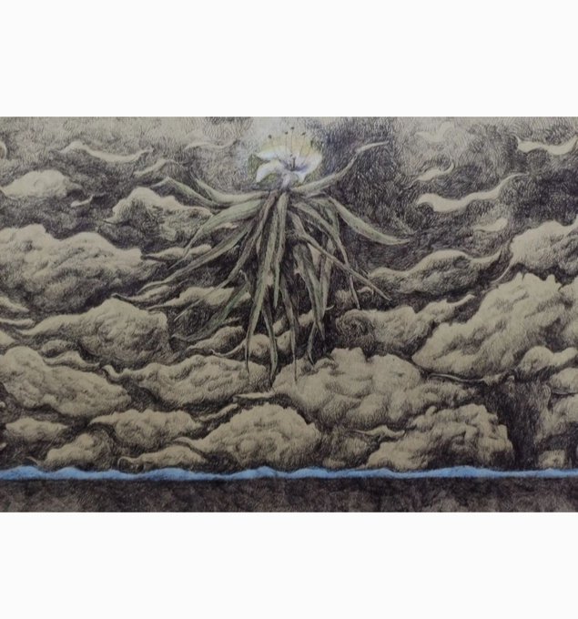 A detailed, textured illustration of a white flower with long, dangling root-like leaves suspended above a dense, layered mass of gray-brown clouds and a thin blue line below.