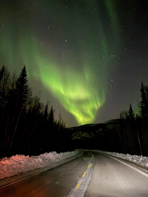 A snowy road leading toward a forest with the aurora borealis (northern lights) glowing green in the night sky.