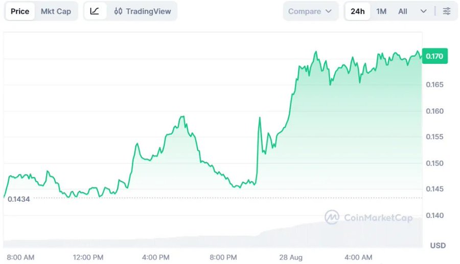 A CoinMarketCap price chart showing a token's 24-hour performance with the price rising from 0.1434 to 0.170 USD across August 27-28.