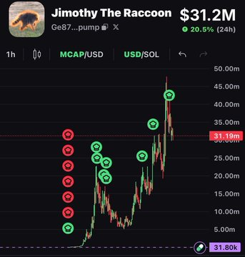 A cryptocurrency chart shows "Jimothy The Raccoon" (ticker Ge87...pump) with a market cap of $31.19M, up 20.5% in 24 hours, illustrating the massive gains that turned an initial $78 investment into over $420,000 over 7 days.
