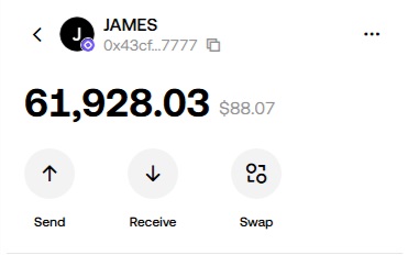 A mobile crypto wallet interface showing a balance of '61,928.03' worth '$88.07' for an account named 'JAMES' with options to Send, Receive, and Swap.