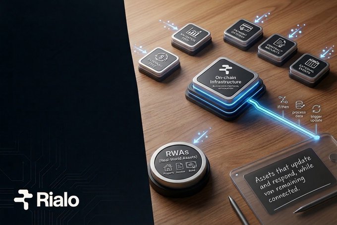 A 3D digital illustration for 'Rialo' showing on-chain infrastructure and RWAs (Real-World Assets) as connected modular blocks and icons on a wooden surface.