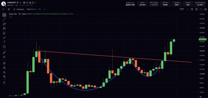 The image shows a CoinCarpet candlestick chart for the ticker "Cash Cat - 1D" trading at $0.250 with a 24-hour change of +24.89% and a market cap of $250.1M, featuring descending resistance lines and curved support patterns.

The chart visually supports the post's bullish sentiment about the meme coin, displaying a clear breakout above a descending trendline that aligns with the trader's description of "riding it higher" and taking profits at psychological levels after the recent surge.