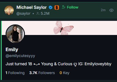 The image shows a tweet from Michael Saylor (@saylor, 5.2M followers) quoting a profile of "Emily" (@emilycutesyyy), a user who just turned 18 with 3.7K followers and an IG link to "emilyloveybby." The tweet humorously implies Saylor is highlighting this account to suggest even the youngest, newest crypto users are holding Bitcoin, tying into the caption "BTC topholder."
