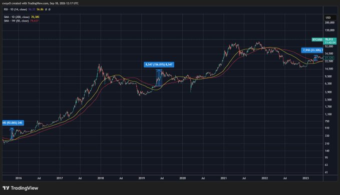 A TradingView log-scale price chart showing Tesla (TSLA) shares rising from around 2 in 2015 to over 200 by 2023, with moving averages and RSI indicator.