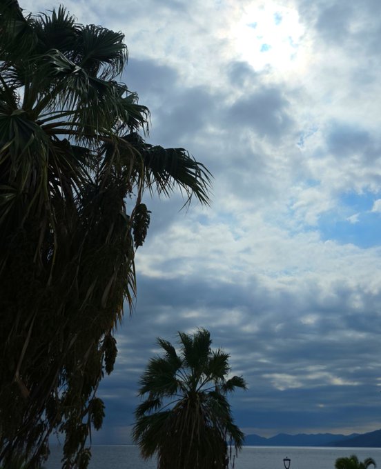 A moody seascape view with silhouetted palm trees in the foreground, dramatic cloudy skies, and distant mountains across the water at dusk or dawn.