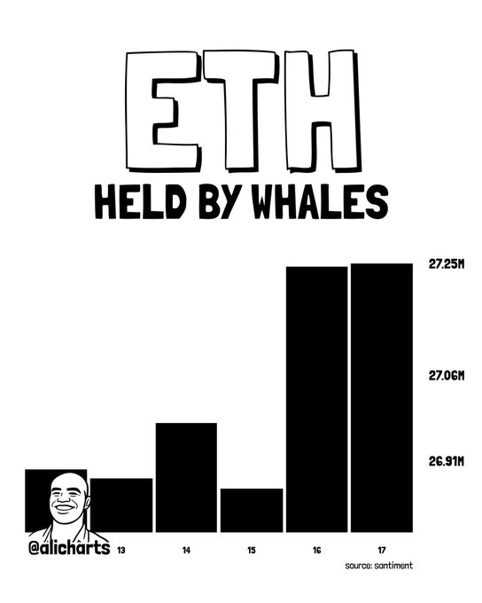 The image depicts a graph showcasing a bar chart of whale donations against the Ether token value, with a humorous caption below. The graph illustrates the amount of cryptocurrency donated by humans, represented by the bars, for each Ethereum token, symbolizing the collective contributions from individuals worldwide.