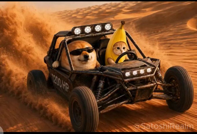 A digital art image featuring a Shiba Inu dog wearing sunglasses and a cat dressed as a banana, riding in a buggy in a desert, watermarked '@SatoshiRealm'.