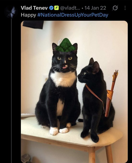 A tweet from Vlad Tenev (@vladt...) dated 14 Jan 22 celebrating #NationalDressUpYourPetDay, featuring two cats—one wearing a green leaf hat, the other with a tiny bow and arrows quiver.