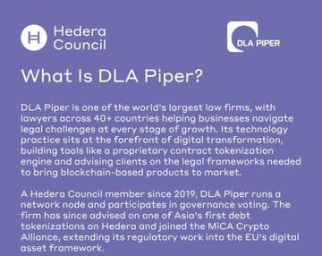 An informational graphic titled 'What Is DLA Piper?' explaining the global law firm's role as a Hedera Council member since 2019 and its work advising on digital transformation and blockchain-based products.