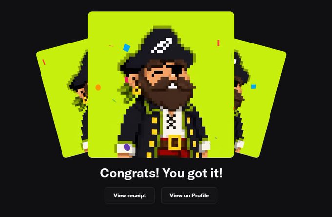 A pixel-art pirate character NFT reveal screen with the text 'Congrats! You got it!' and buttons for 'View receipt' and 'View on Profile'.