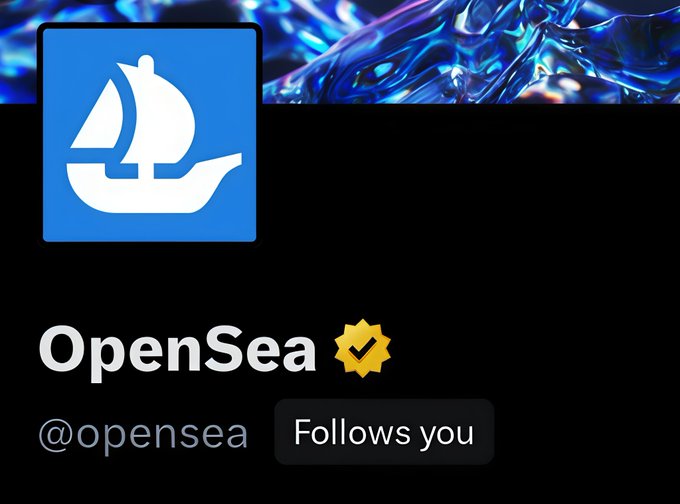 A screenshot of an OpenSea (@opensea) profile with its verified blue sailboat logo, accompanied by a "Follows you" notification button. The image illustrates the user's excitement in the caption about receiving a follow from the NFT marketplace.