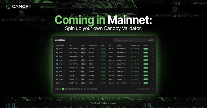 A promotional graphic for the Canopy network featuring the text 'Coming in Mainnet: Spin up your own Canopy Validator' above a screenshot of a validator dashboard listing various validators with their statistics and uptime.