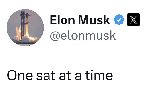 A screenshot of a tweet from Elon Musk (@elonmusk) with a profile picture showing a rocket launch, containing the short text 'One sat at a time'.