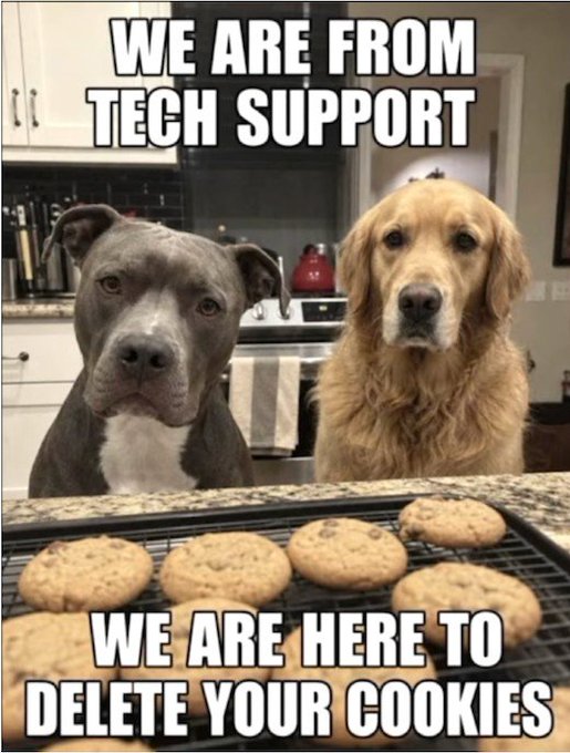 A tech support meme featuring two dogs (a gray pit bull and a golden retriever) sitting behind a cooling rack of chocolate chip cookies, with text 'WE ARE FROM TECH SUPPORT' at the top and 'WE ARE HERE TO DELETE YOUR COOKIES' at the bottom.