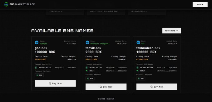 A dark-themed webpage for the 'BNS MARKET PLACE' displaying 'AVAILABLE BNS NAMES' with three listing cards (god.bdx, tanvik.bdx, fakhrudeen.bdx), each priced at 100,000 or 200,000 BDX, listing owners and expiry dates.