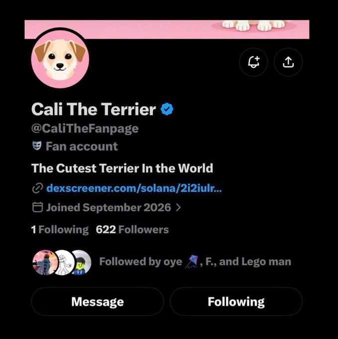 A screenshot showing the Twitter/X profile of "Cali The Terrier" (@CaliTheFanpage), a verified fan account with 622 followers and a linked dexscreener link, representing the $CALI memecoin that Maye Musk quote-retweeted as referenced in the accompanying post about Musk family dog-themed tokens like FLOFI.