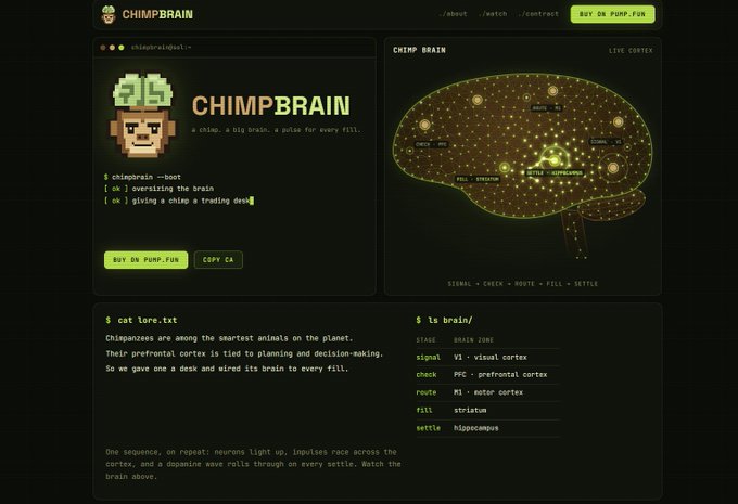 The image shows a promotional page for "CHIMPBRAIN," a meme coin featuring pixel art and an animated brain visualization labeled with brain regions (visual, prefrontal, motor cortex, striatum, hippocampus) along with a smart contract address display and "BUY ON PUMP.FUN" button. The image relates to the post about burning tokens by showcasing the token's pump.fun listing page, likely to celebrate or commemorate the community token burn transaction referenced.