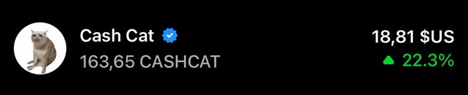 A price ticker showing 'Cash Cat' (CASHCAT) at $18.81 USD with a 22.3% increase, displaying 163.65 CASHCAT holdings.