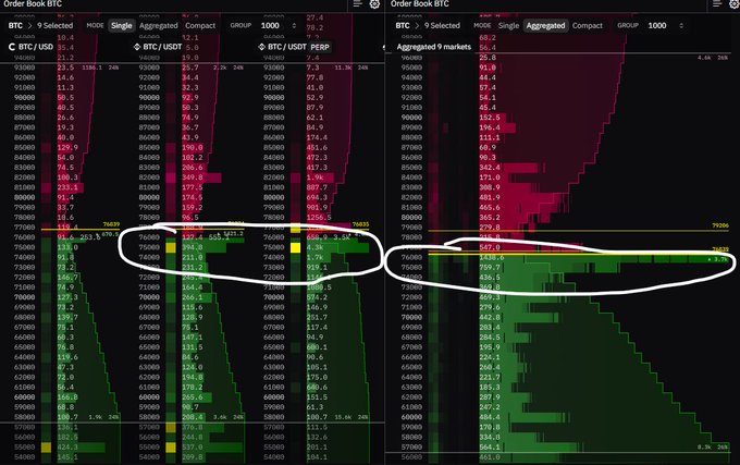 A screenshot of the **Order Book BTC** tool from **Coinglass**, displaying aggregated BTC/USDT order book depth across major exchanges (including Binance) in 1,000-group intervals, with white-circled areas highlighting heavy bid stacking (buy walls) around the **$76,000–$77,000** price range—visually confirming the post's claim that "they are buying the Bitcoin dip on @binance across spot and perps."