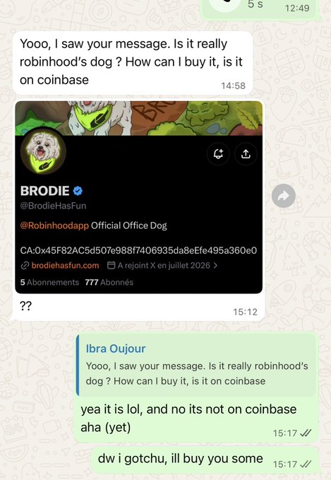 A WhatsApp conversation shows someone asking about buying the $BRODIE token, with the reply confirming it's Robinhood's official office dog and not yet on Coinbase, followed by an offer to buy some for them—illustrating the onboarding of a "normie" into the Robinhood Crypto meme community.