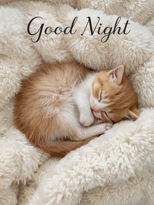 A ginger and white kitten curled up asleep on a fluffy cream-colored blanket, with "Good Night" written in elegant script at the top.