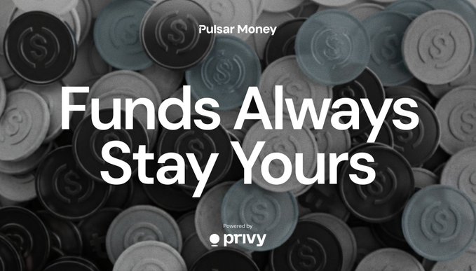 A promotional banner for 'Pulsar Money' displaying the headline 'Funds Always Stay Yours' over a grayscale image of poker chips, with 'Powered by privy' shown at the bottom.