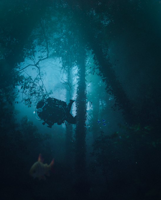 A scuba diver explores a hauntingly beautiful underwater forest, silhouetted against beams of light filtering through the dense canopy of kelp and branches, with a faintly visible fish swimming in the murky depths. This evocative scene captures the mysterious, dreamlike quality of submerged nature that the artist references in their nostalgic post about their past obsession with underwater imagery.