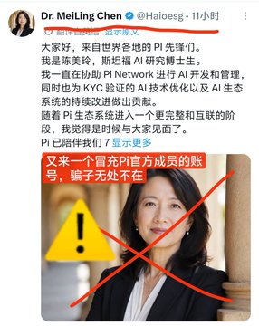 A scam alert post from Dr. MeiLing Chen (@Haioesg) warns that another fake account is impersonating her as an official Pi Network member, showing her real profile picture crossed out with a red X alongside a warning triangle to emphasize the fraudulent nature of the impersonator.