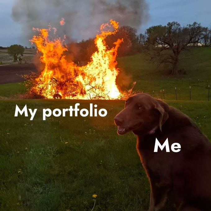 A brown dog labeled "Me" sits in a field while calmly watching a massive fire labeled "My portfolio" raging in the background, humorously illustrating the poster's feeling that the Meme Coin market is leaving their investments in ruins.