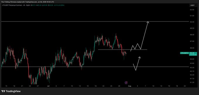 A TradingView 4-hour candlestick chart of LTC/USD (Litecoin) priced around $45.16 shows two potential bullish entry scenarios marked with white arrows—one indicating a dip to lower support near $44 before a strong rally toward $49-50, and another showing a bounce from current levels back up to retest the $47 range resistance.