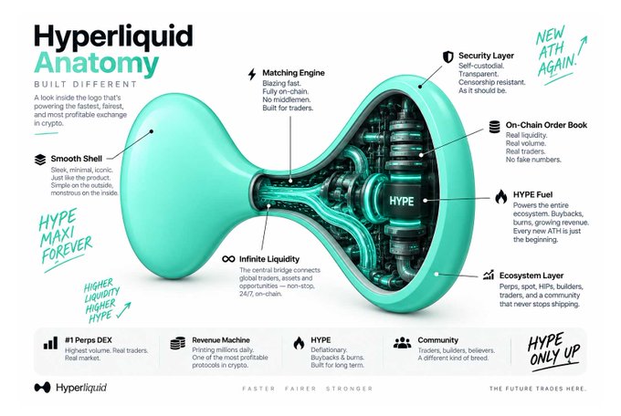 This infographic, titled "Hyperliquid Anatomy," uses the iconic teal hyperliquid logo to break down the exchange's architecture, labeling its inner sections as the Matching Engine, Security Layer, On-Chain Order Book, HYPE Fuel, Ecosystem Layer, and Infinite Liquidity. Graffiti-style annotations like "HYPE MAXI FOREVER," "NEW ATH, AGAIN!" and "HYPE ONLY UP" reinforce the post's theme, visually explaining why the $HYPE token keeps hitting new all-time highs by highlighting Hyperliquid's status as the #1 perps DEX with the highest volume and real traders.