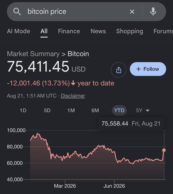 A Google search for 'bitcoin price' showing a market summary of $75,411.45 USD, down -12,001.46 (13.73%) year to date, with a YTD chart peaking around $100,000.