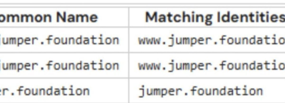 The image shows a table with entries for the domain "jumper.foundation" linked to matching identities including "www.jumper.foundation" and "jumper.foundation," suggesting verified website matches for the Jumper Foundation. This relates to the post about the upcoming Jumper Foundation airdrop and potential token announcement, as the table confirms the official web domains associated with the project to help users identify legitimate sources amid the community's excitement.