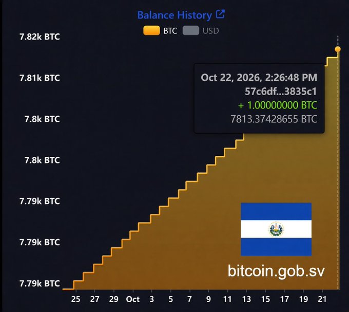 A dark “Balance History” chart shows Bitcoin holdings rising stepwise from roughly 7.79K BTC to 7.81K BTC, ending at “Oct 22, 2026” with “+ 1.00000000 BTC” and a total of “7813.37428655 BTC.” The El Salvador flag and “bitcoin.gob.sv” reinforce the post’s claim that El Salvador’s 7,813 Bitcoin—about 122,600 sats per person—surpasses the U.S. figure of 94,100 sats per person.