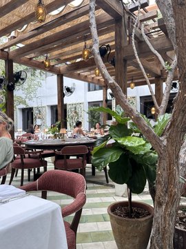 An outdoor restaurant patio featuring tables draped in white tablecloths, pink upholstered chairs, a large potted fiddle leaf fig plant, hanging string lights, and a wooden pergola overhead.