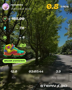 The image shows a fitness app screen with a walking path displayed, along with some information about the user's activity. The path appears to be a tree-lined street or park setting, which could indicate that the user has been walking on this route. The app is named "StepNGo" and it provides an overview of the user's progress in terms of distance covered (42 km) and their average speed during the walk (3.9 km/h).