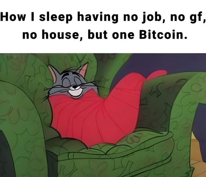The image features a cartoon cat sitting comfortably on a green chair, with its head resting on the armrests of the chair. There are no other objects or text visible in the image. The caption reads "How I sleep having no job, no house, but one Bitcoin." This message seems to be related to the cartoon cat's situation and could possibly be a humorous take on the idea that someone is sleeping without a job while holding onto their Bitcoin.