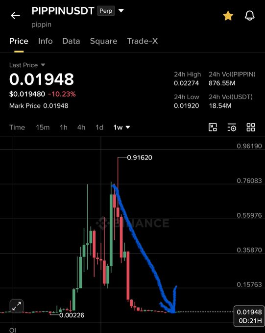 The image shows a Binance perpetual futures chart for PIPPINUSDT (ticker "pippin") displaying a dramatic price collapse from a peak of $0.91620 down to the current last price of $0.01948, representing a -10.23% drop with a 24-hour volume of 876.55M PIPPIN—visually confirming the post's warning about the token's steep dump from its highs to near-zero levels.