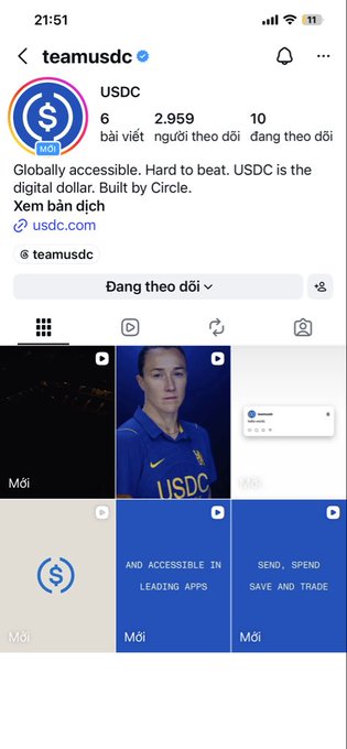 Instagram profile page for @teamusdc (USDC) showing 6 posts, 2,959 followers, and 10 following, with bio text 'Globally accessible. Hard to beat. USDC is the digital dollar. Built by Circle.' and a Chelsea FC-themed image.