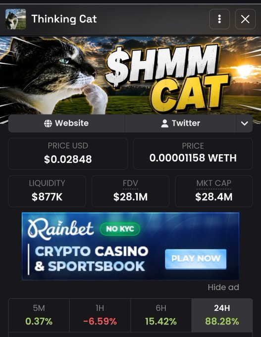 A crypto token information page for 'Thinking Cat' ($HMM) showing a price of $0.02848, market cap of $28.4M, liquidity of $877K, and 24H gain of 88.28%, with a Rainbet casino advertisement.
